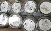 APR microplastiques