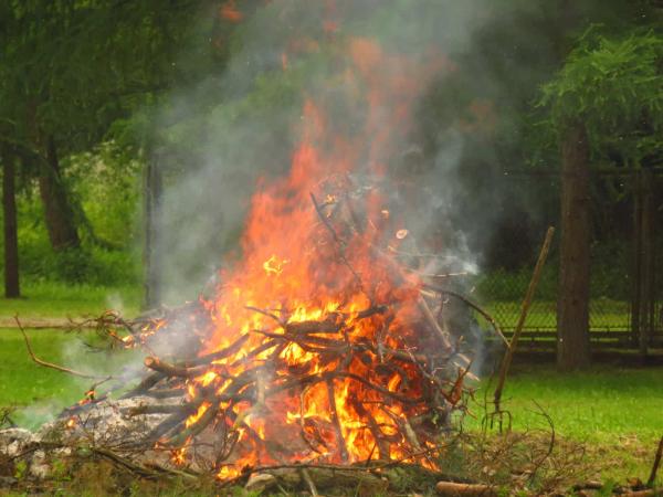 Brûlage à l’air libre des déchets verts (combustion de biomasse)