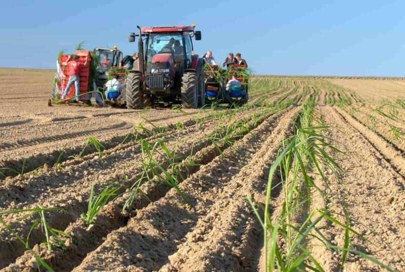 Air et agriculture / sylviculture