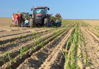 Illustration QA et Agriculture