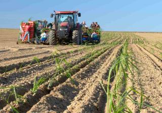 Air et agriculture / sylviculture