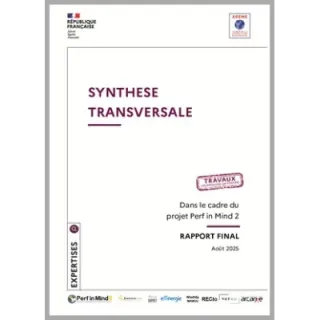 Couverture du rapport Perf in Mind 2